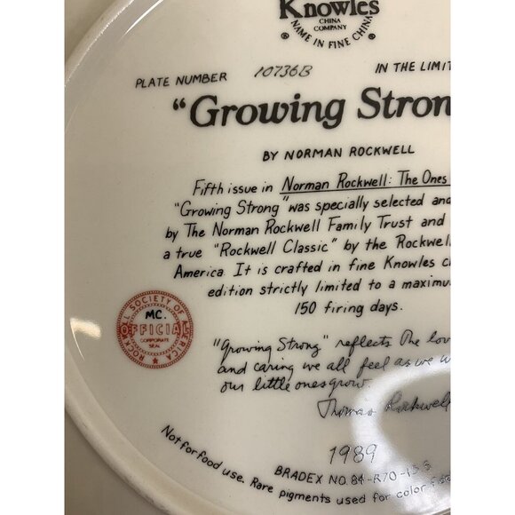 Bradford Exchange Norman Rockwell GROWING STRONG 1989 Collector Plate Knowles - Picture 7 of 8